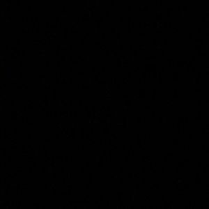 Meet your Posher, Regan